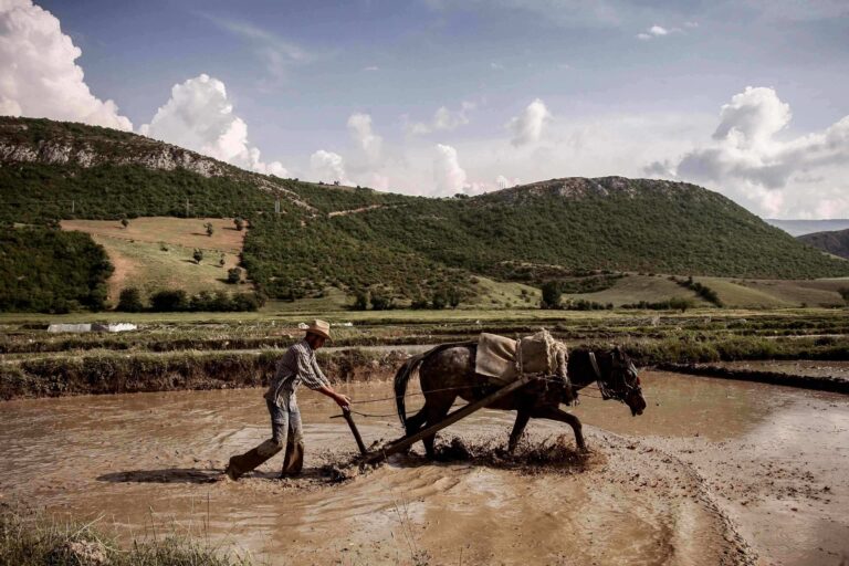 The World Needs Peasants