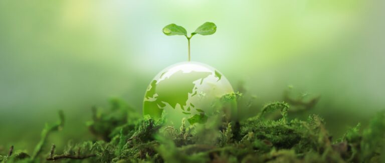 Climate-Resilient Farming: Organic, Natural and Community-Led Models Showing the Way Forward – 4 Articles