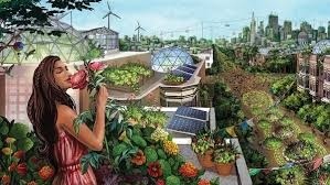 Capitalism, Creative Labour and the Case for Ecosocialism – 2 Articles