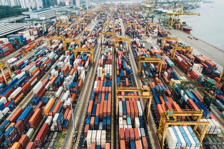 Great Nicobar: Destruction in the Name of Development – 2 Articles