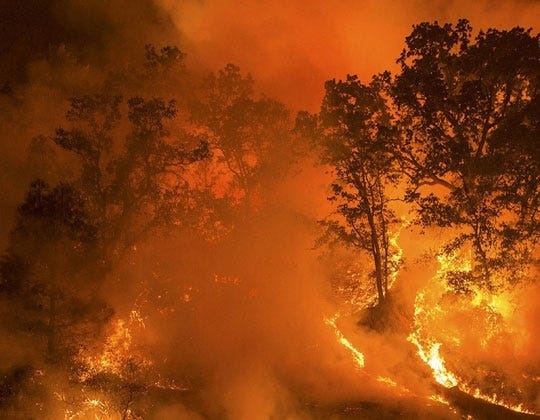 Climate Collapse Is Not an Accident