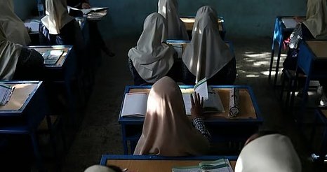 What Happened to Afghanistan’s Female Academics?